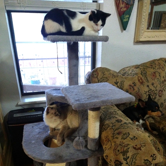 Meet your Posher, Julie - Picture 3 of 12